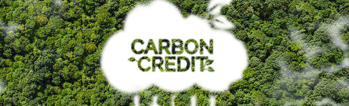 Carbon Credits & ESG Assets